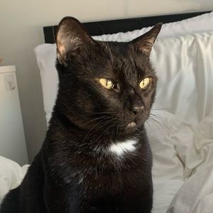 Meet your Posher, Cooper